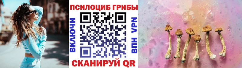 Галлюциногенные грибы мухоморы Кизляр