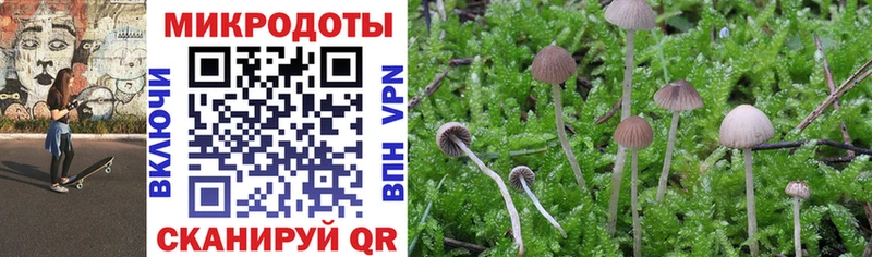 Псилоцибиновые грибы мицелий Кизляр